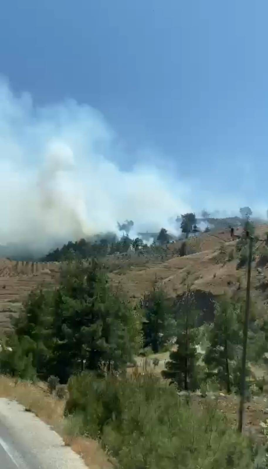 Kahramanmaraş'ta orman yangını - Resim: 10